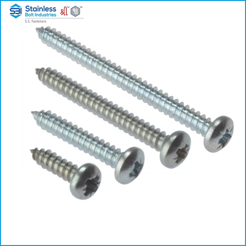 We are Leading manufacturer of stainless steel screw suppliers India