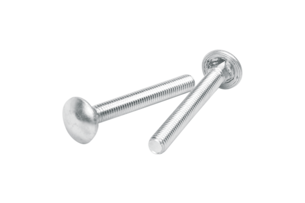 S.S Carriage Bolt