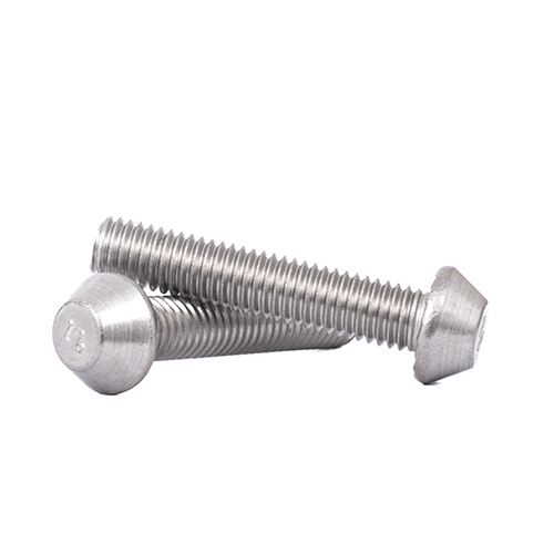 Anti Theft Bolt