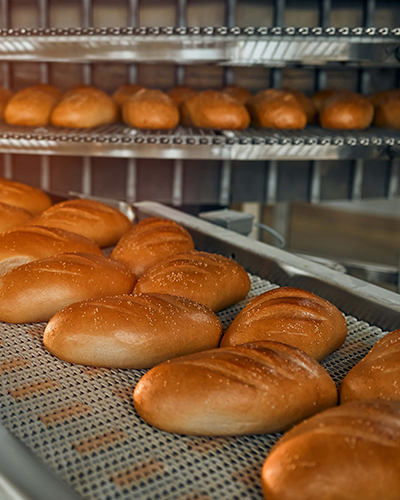 Food & Beverage Industry