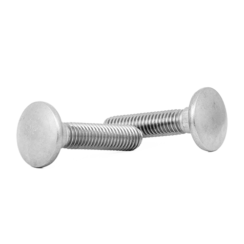 Carriage Bolt