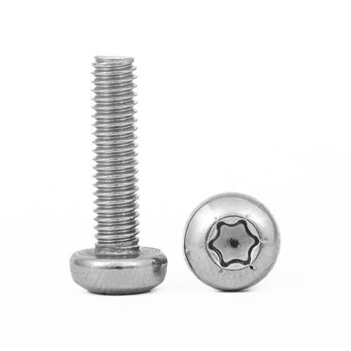Torx PAN Head Screw